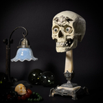 Шкатулка «Череп человека»