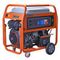Генератор бензиновый EVOline PB 18003 E