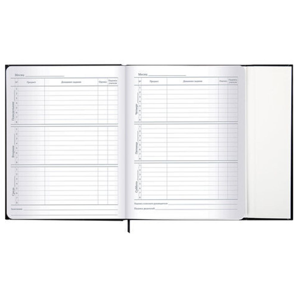 Дневник 1-11 класс 48 л., твердый, BRAUBERG, матовая ламинация, магнитный клапан, закладка-ляссе, с подсказом, "Дракон", 107245