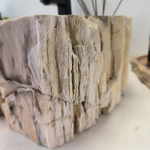 Раковина из окаменелого дерева FossilBasin OD-62401 62*41*14