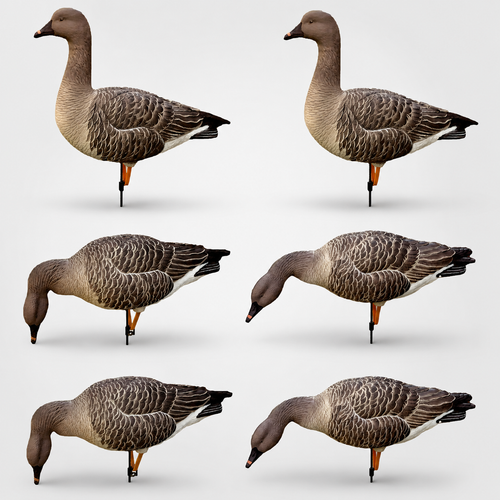 Гусь гуменник Duck Mania "ELITE"