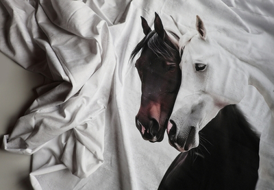 ДВА КОНЯ - Кулирка с лайкрой, компакт пенье (ДЖ66 Маша) (к0 пятнышки непрокраса, полочка не задета)