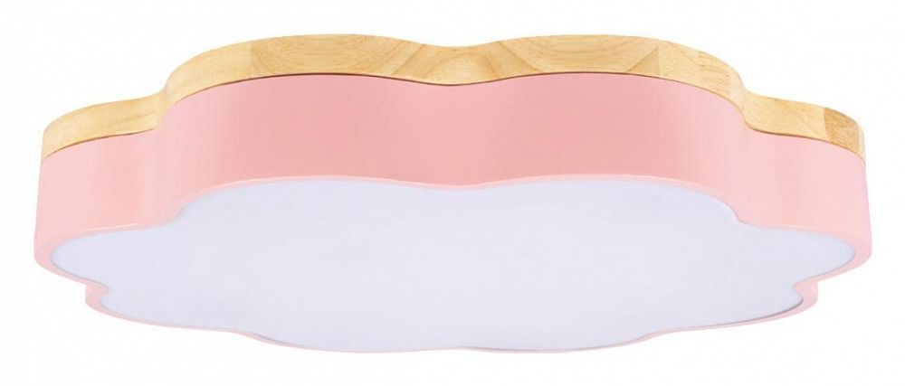 Накладной светильник Loft it Axel 10225/36 Pink