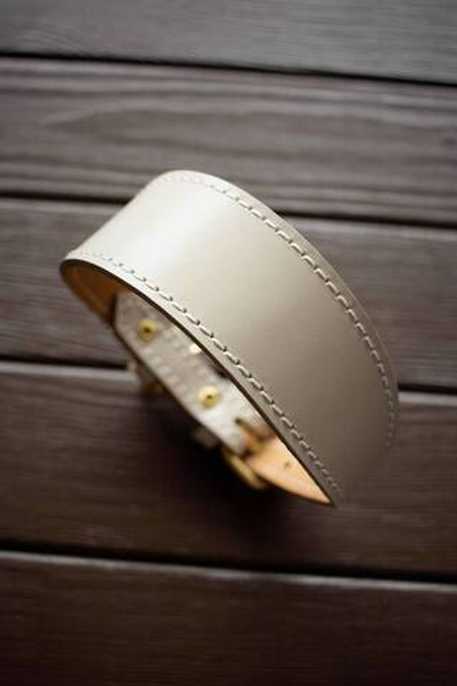 Кожаные ошейники-селедки