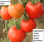 МИНУСИНСКИЙ ЛАПОТЬ