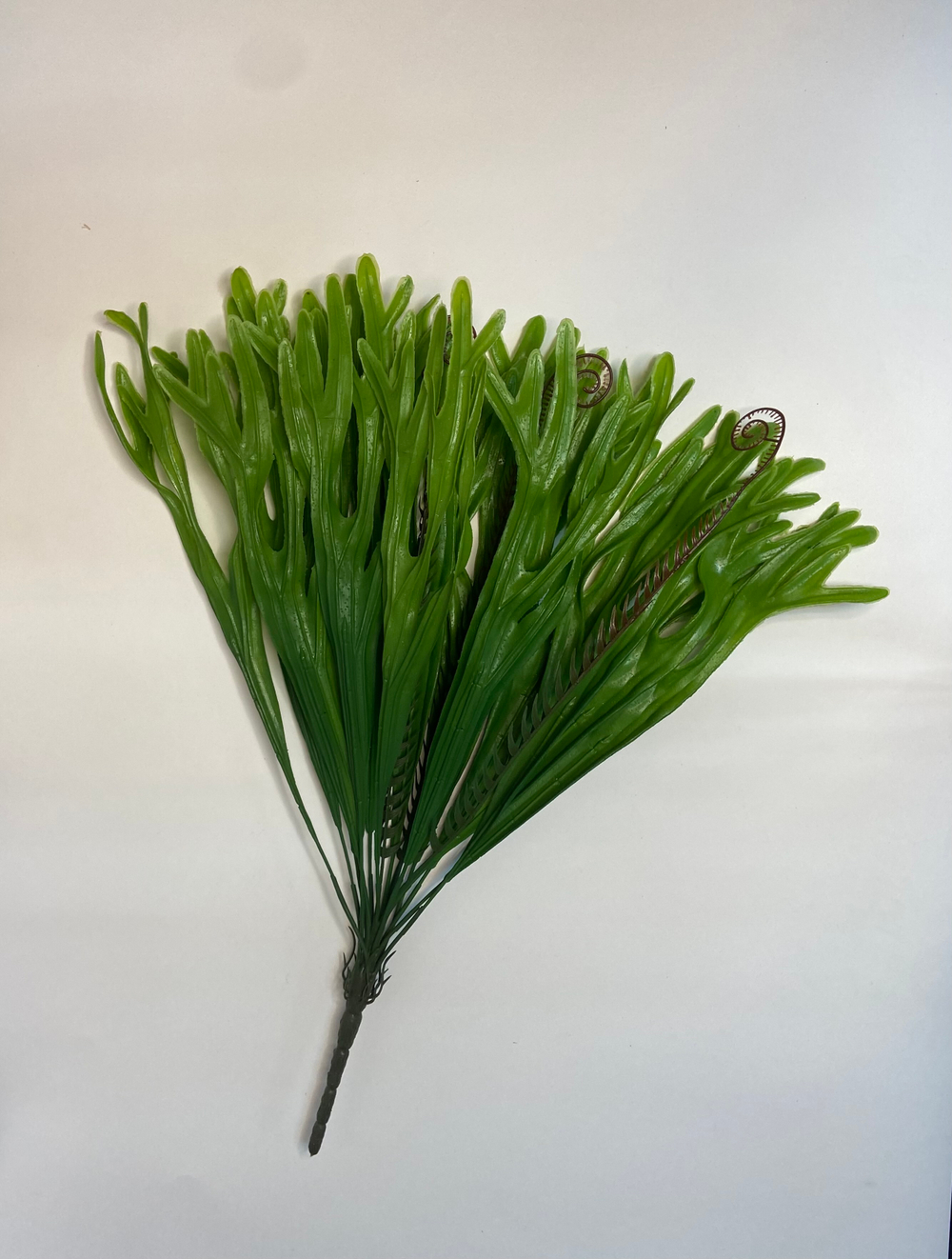 Куст оленьи рожки