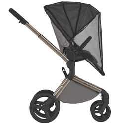 Детская коляска Anex Flo 2 в 1 Charm