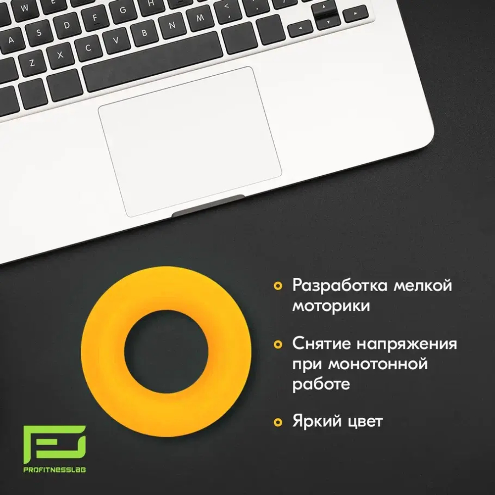 ЭСПАНДЕР КИСТЕВОЙ PROFITNESSLAB 40 КГ