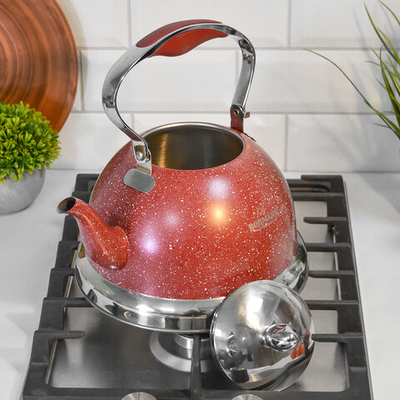 Чайник 3л нерж, с подвижной ручкой