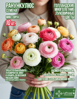 Корневище, Ранункулюс микс сортов, 10 шт