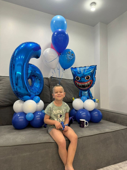 Набор воздушных шаров Хаги Ваги №2012