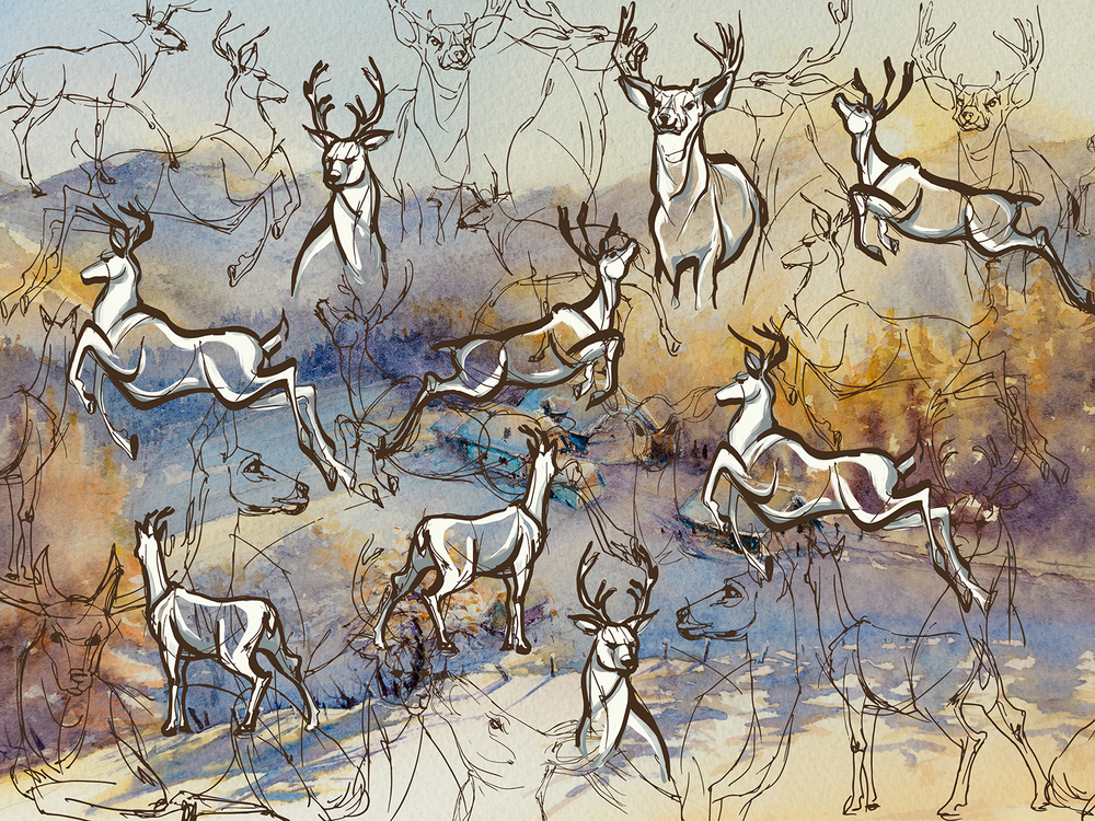 Коллекция SIBERIA