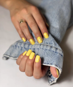 Best Nails Гель-лак Biscotti, 12 мл3