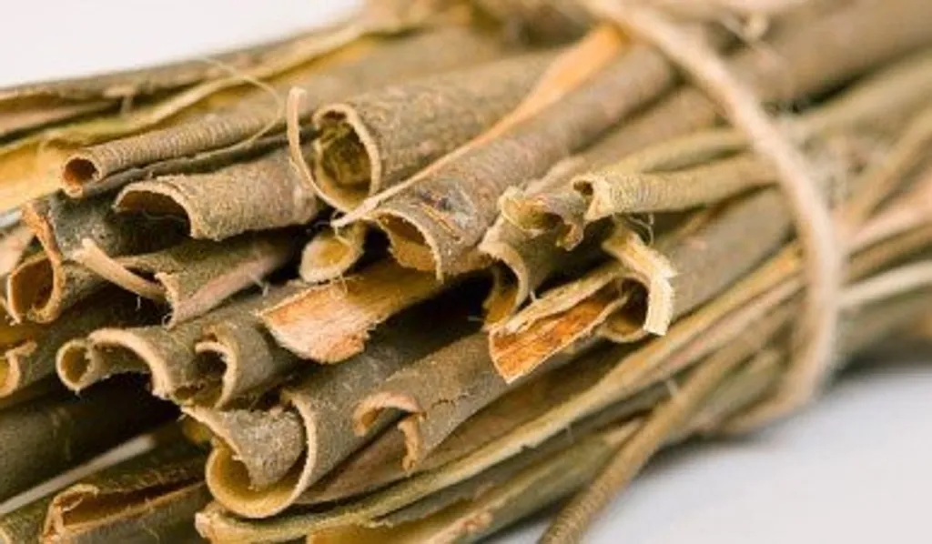 Ивовая кора