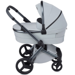 Детская коляска Anex l/type 3 в 1 Frost
