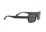 RAY-BAN BENJI RB2189 1292B1