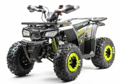 Квадроцикл Motoland 125 WILD (2020 г.)