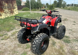 Квадроцикл RAPTOR Madman 200 All
