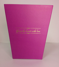 Трапеция-переноска 22,5*18*18см