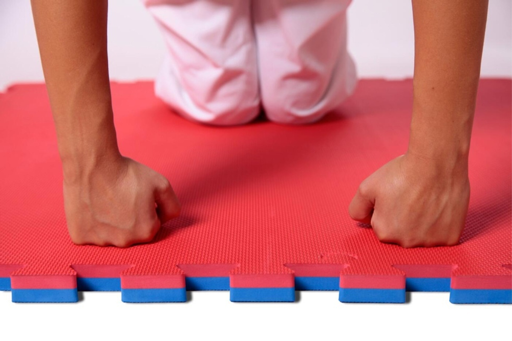 Будо-маты (татами) Экополимеры (1 плита 100х100х2см, 1кв.м./уп) "Красно-синий"