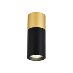 Накладной светодиодный светильник Favourite Deepak 3074-1C