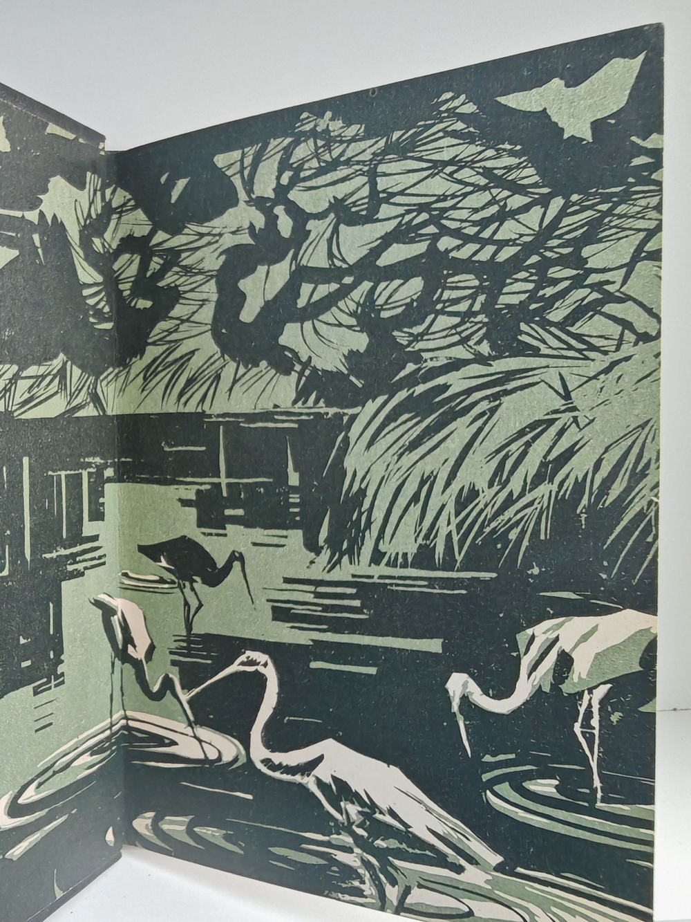 По тигровому следу