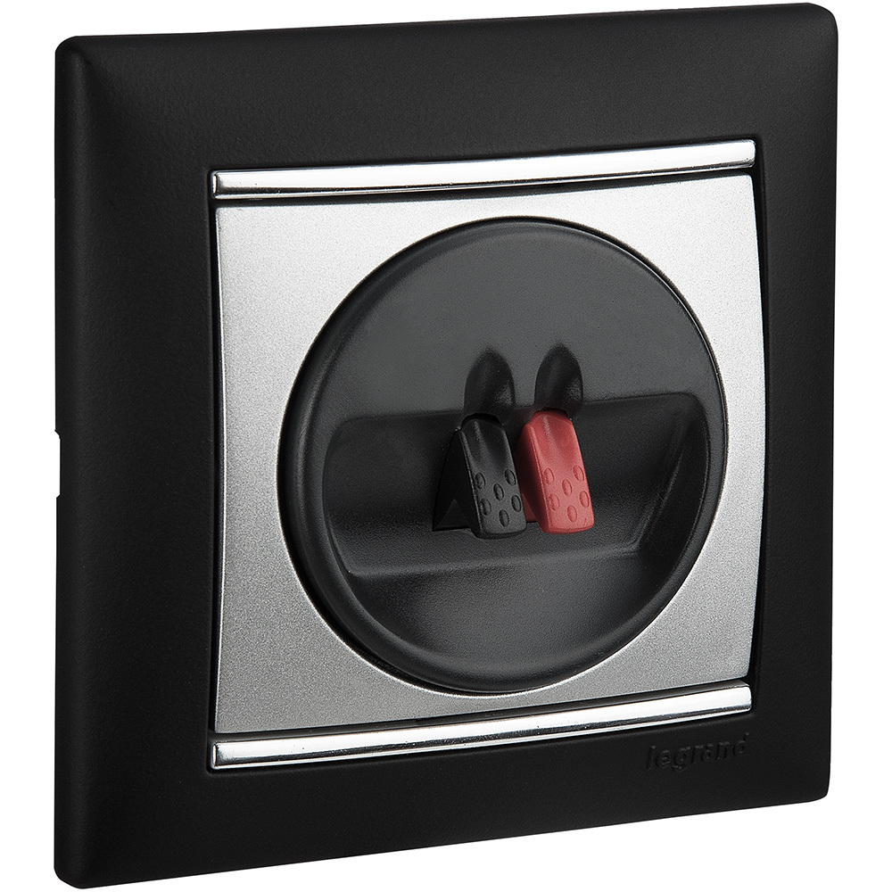 Розетка для акустической системы алюминий Valena Classic LEGRAND