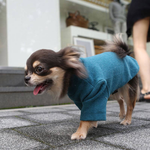 269 Водолазка для собак однотонная, с микро начесиком "Cozy T-shirt Puppy Angel"