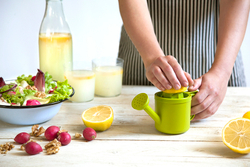 Соковыжималка для лимонов lemoniere
