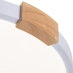 Потолочный светильник Arte Lamp