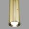 Подвесной светодиодный светильник Elektrostandard Bong 50214/1 Led золото a055667
