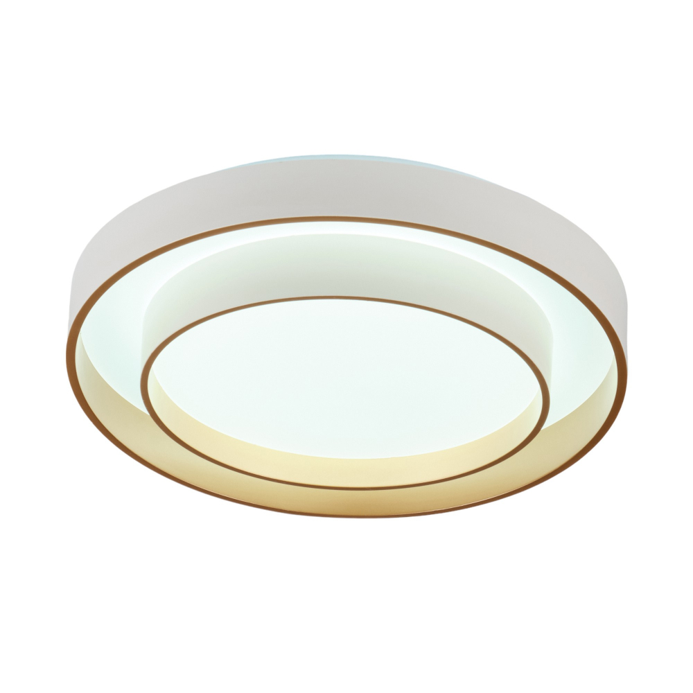 Потолочный светодиодный светильник с пультом MyFar Rhea MR9161-CL