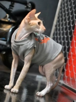 Одежда для кошек сфинкс