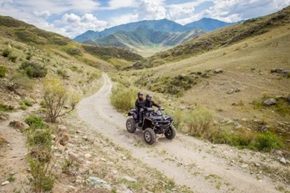 Квадроцикл СТЕЛС ATV 650 Guepard Trophy EPS