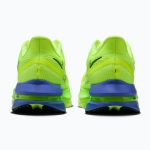 Кроссовки для бега Nike Pegasus Premium volt ice/lime blast/black spruce