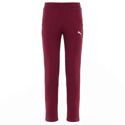 Мужские брюки PUMA Graphic Pants TR Open