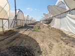Готовый тепличный бизнес в ст.Петровская, Славянского района