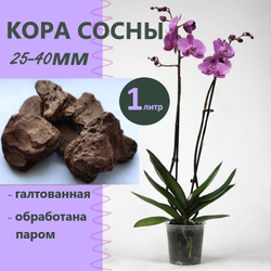 Кора галтованная 25-40мм - 1л / Для орхидей и ароидных