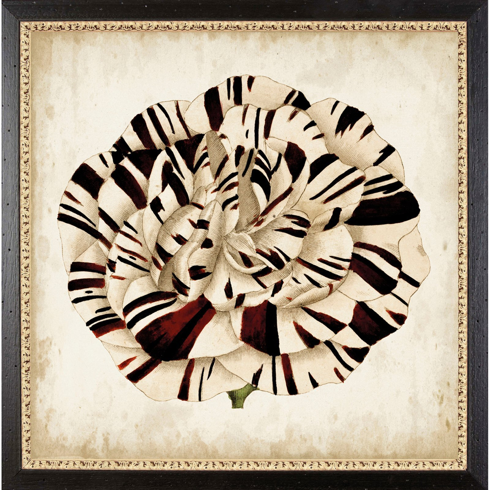 Постер 58х58 G&C Pop Floral 3