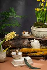 Масленка birds of paradise, кремовая