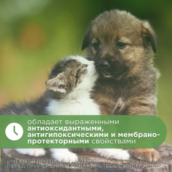 Антиоксидантный препарат, АВЗ Эмицидин 30 капсул/15 мг