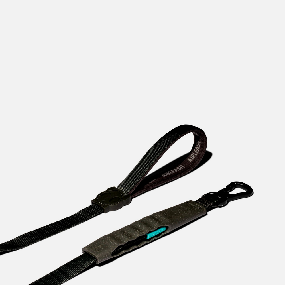 Амортизирующий поводок Air Carbon 150 см Zee.Dog