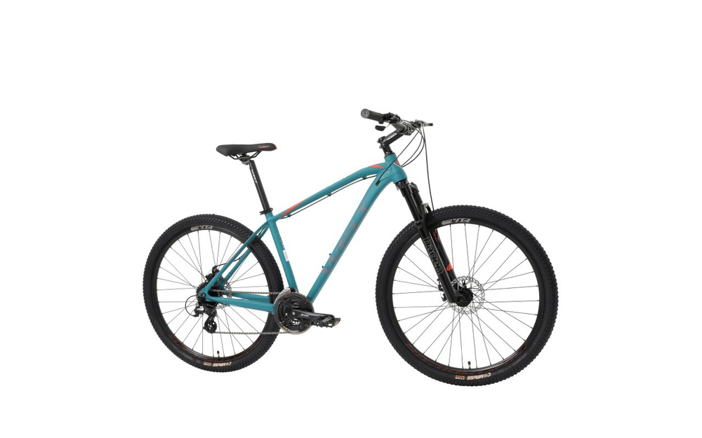 Горный велосипед Welt Raven 2.0 D 29 (2023)