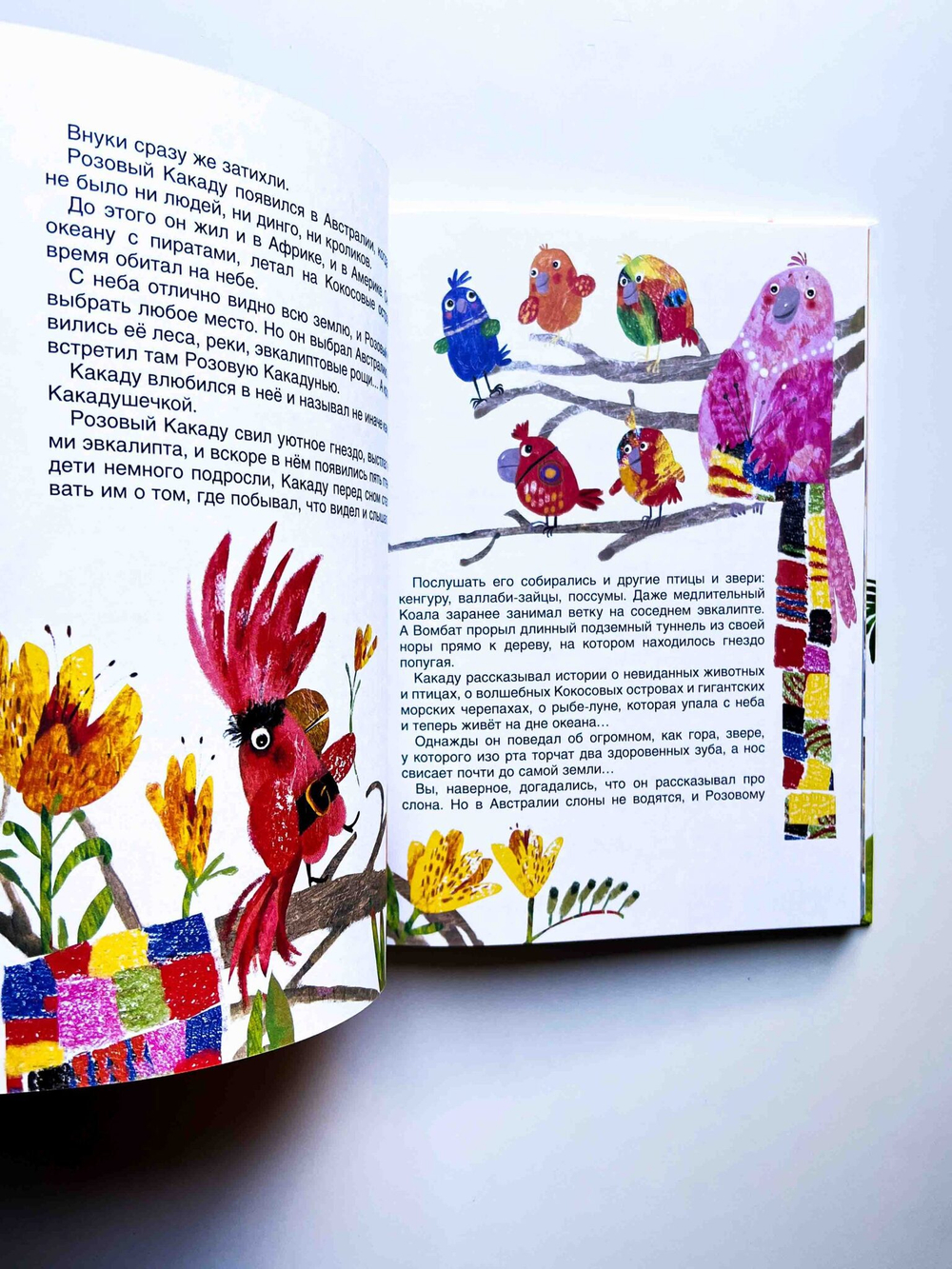 Что было в сумке у кенгуру?