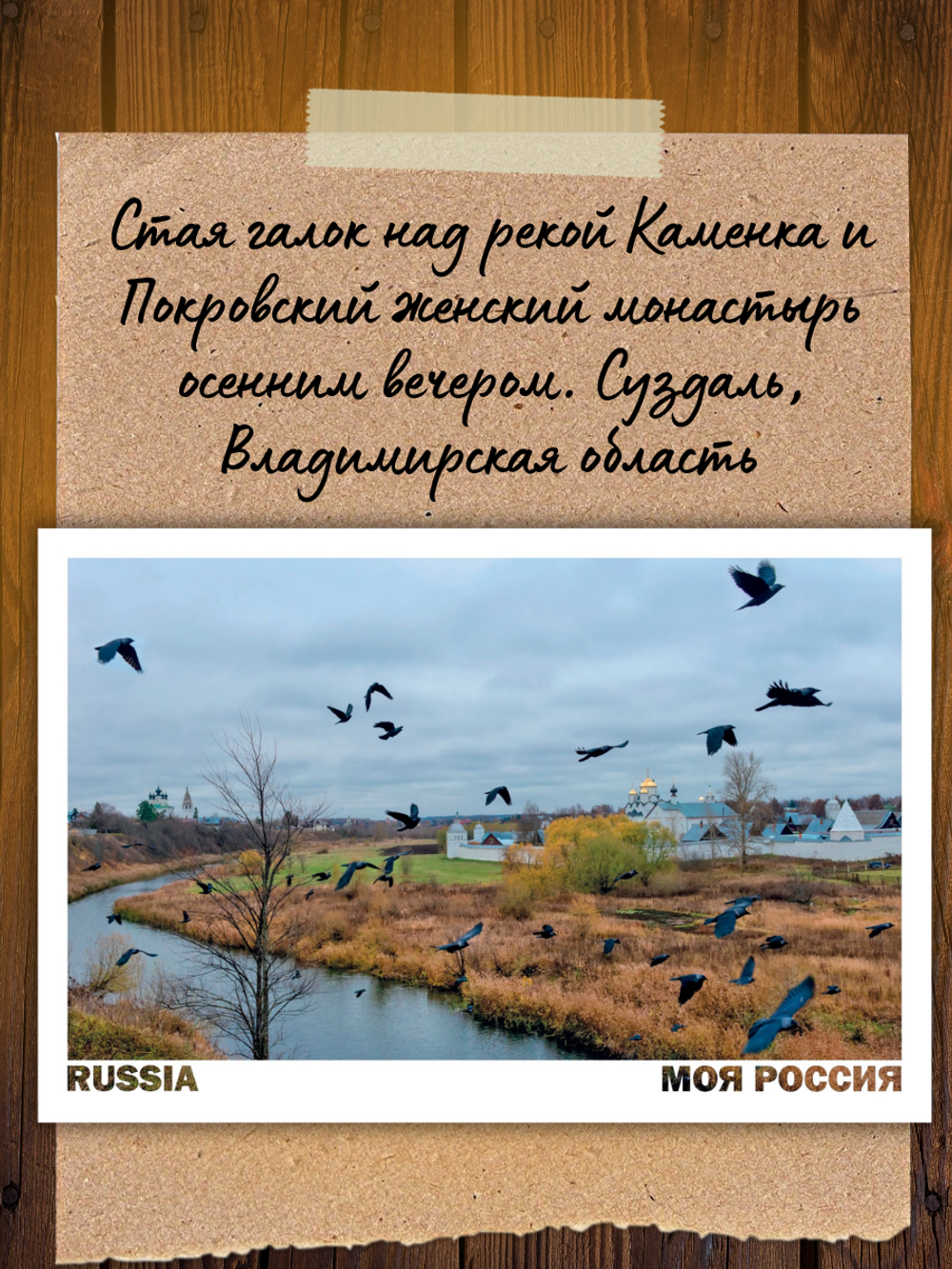 Моя Россия. Птицы