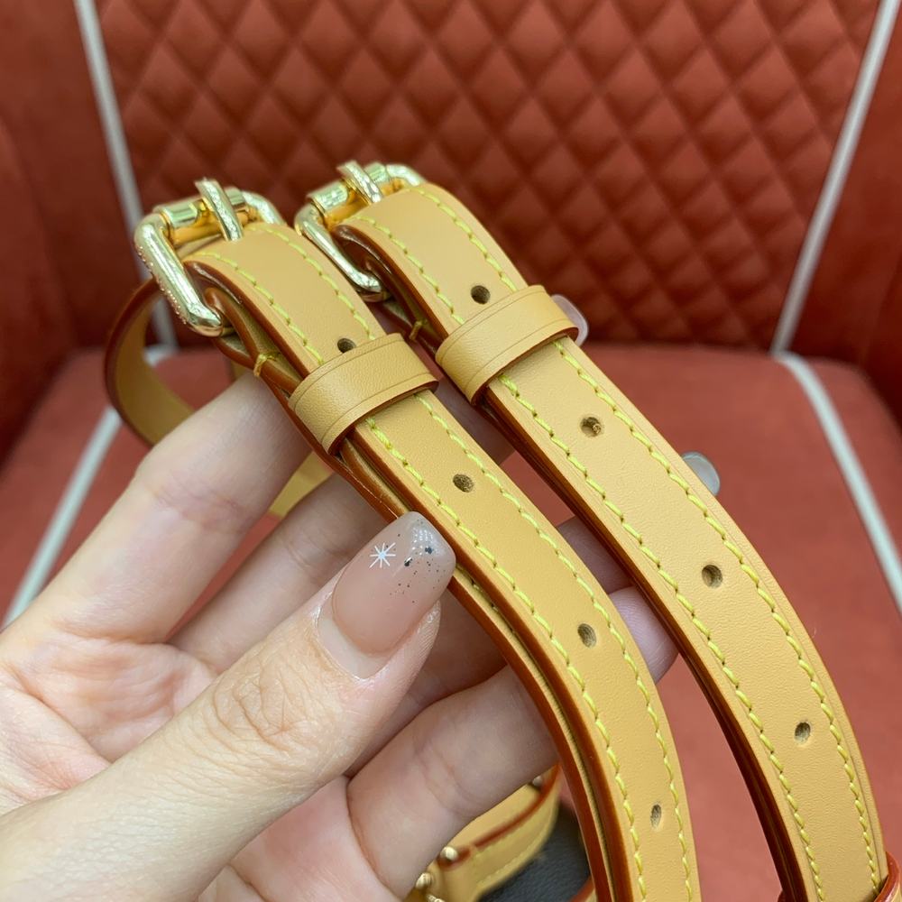 Louis Vuitton Soho Mini