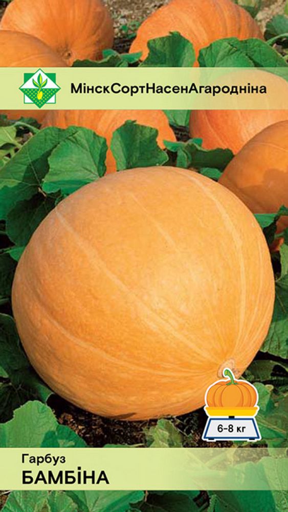 Тыква "Бамбино" 5шт, Польша.