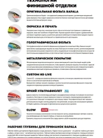 Воблер RAPALA Shallow Shad Rap 09, 9см, 12гр, цвет HT