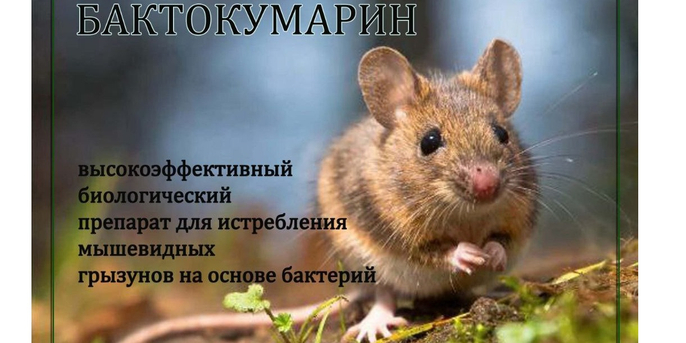 Бактокумарин