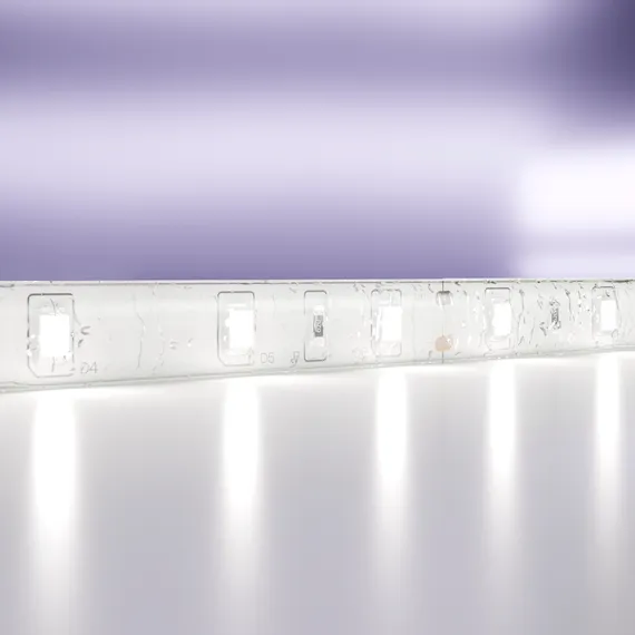 Светодиодная лента 24В 2835 4,8Вт/м 6000K 5м IP65 Led Strip 10141